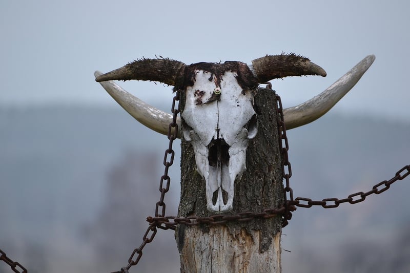 Nature Guardian Totems