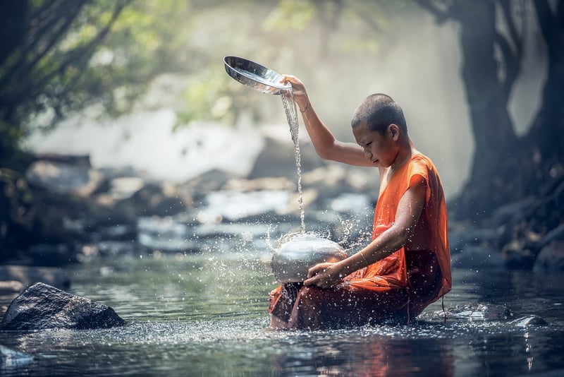 Spiritual Plant Rituals